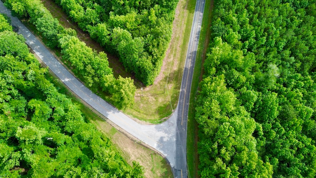 Aerial view of a fork in the road surrounded by lush greenery, symbolizing choices and adaptability.